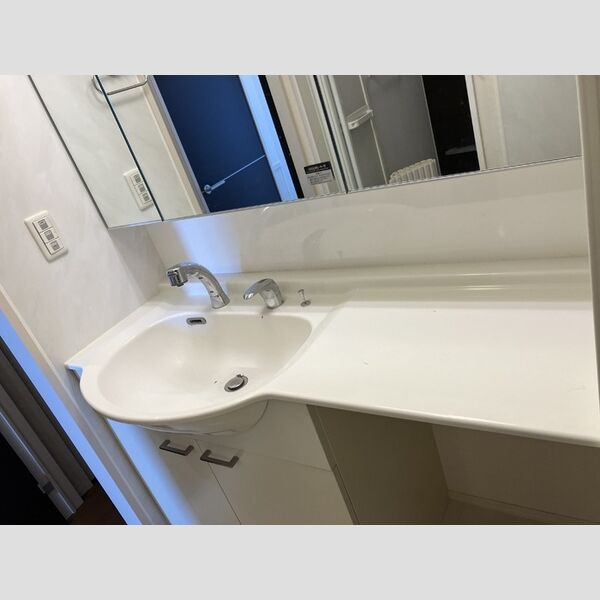 洗面所 (洗髪洗面化粧台)