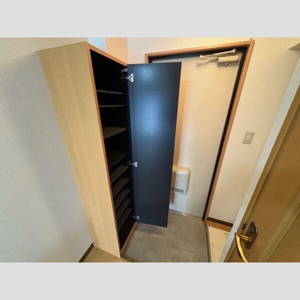 玄関 (シューズボックス)