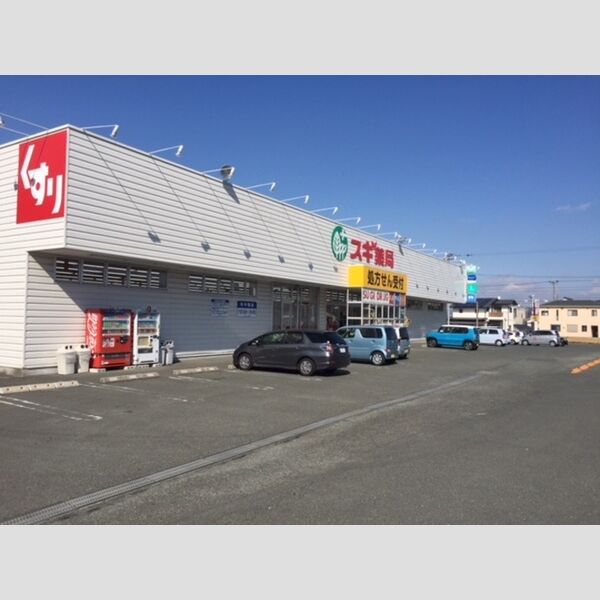 現地周辺 (ドラッグストア)