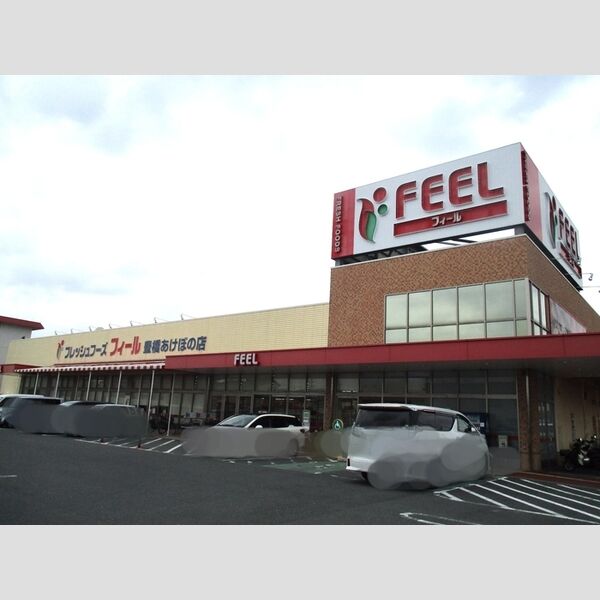 現地周辺 (フィール豊橋あけぼの店)