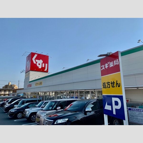 現地周辺 (スギ薬局　御津店)