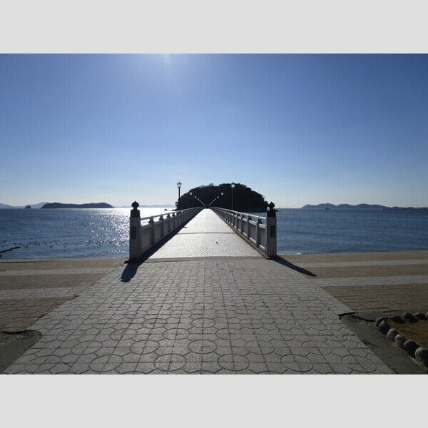 現地周辺 (竹島)