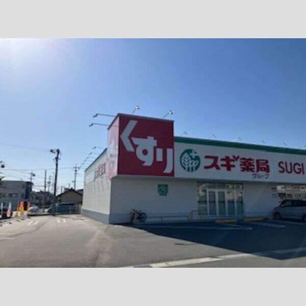 現地周辺 (スギドラック蒲郡中央店393.93m)