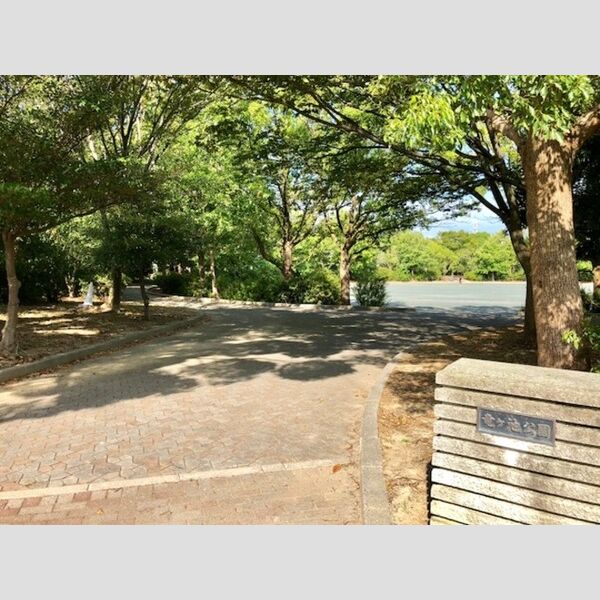 現地周辺 (竜ヶ池公園♪)