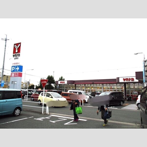 現地周辺 (ヤマナカ田原店)
