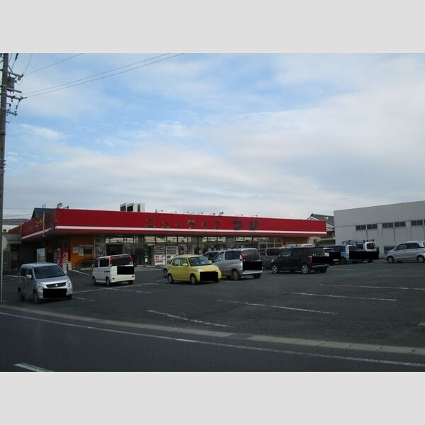 現地周辺 (ニューライフフジ　二川店)