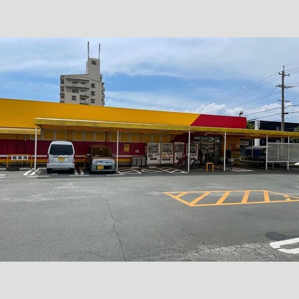 現地周辺 (ニューライフフジ　たか丘店)