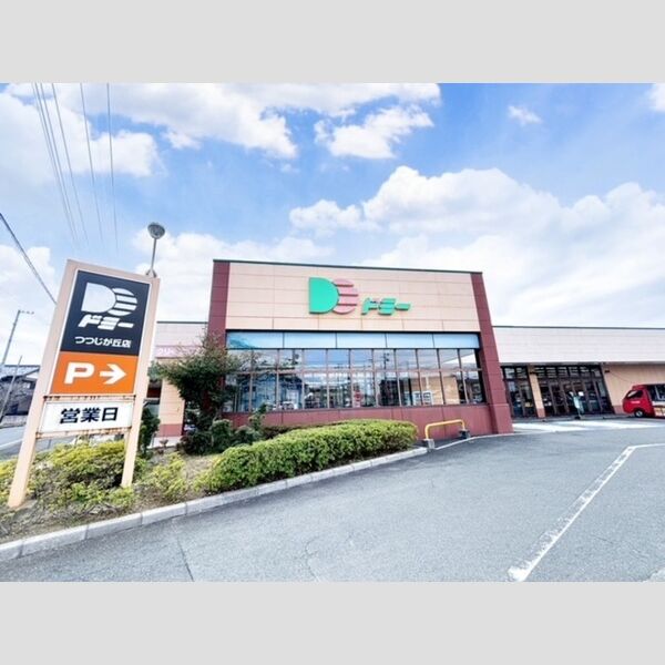 現地周辺 (ドミーつつじが丘店(419メートル))