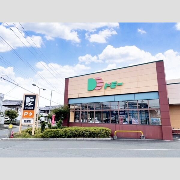 現地周辺 (ドミーつつじが丘店(530m))