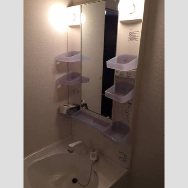 洗面所 (202 洗髪機能付 洗面台)