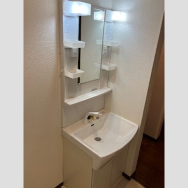 洗面所 (洗髪洗面化粧台)