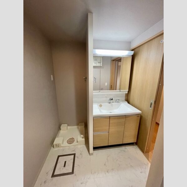 洗面所 (洗面化粧台)