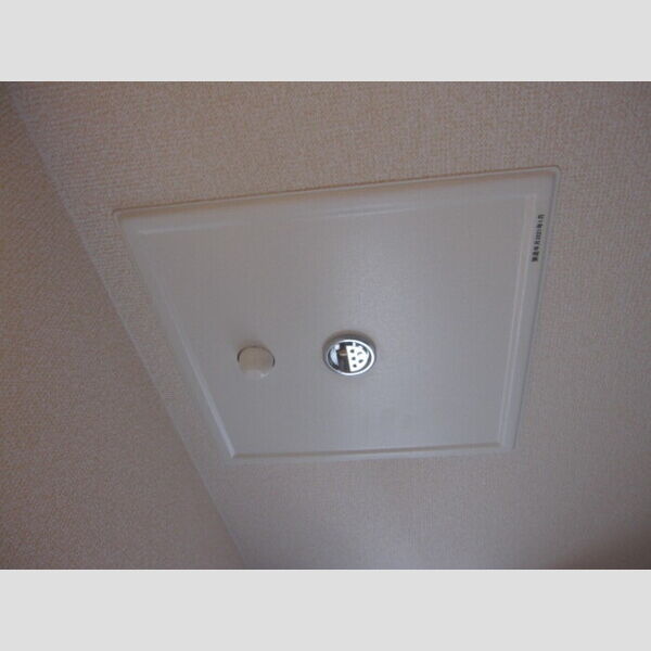 その他 (ケスジャン)