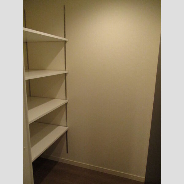 収納 (廊下物入)