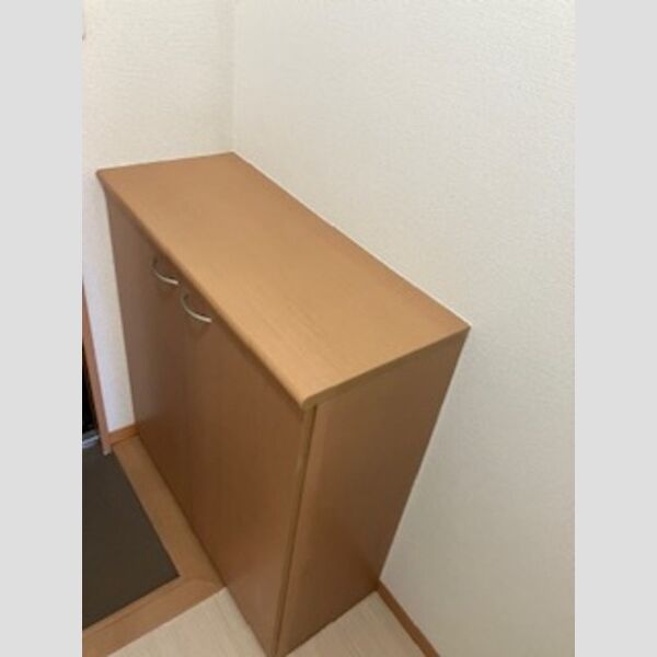 その他設備 (玄関)