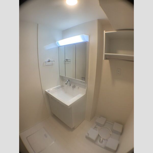 洗面所 (洗髪洗面化粧台)