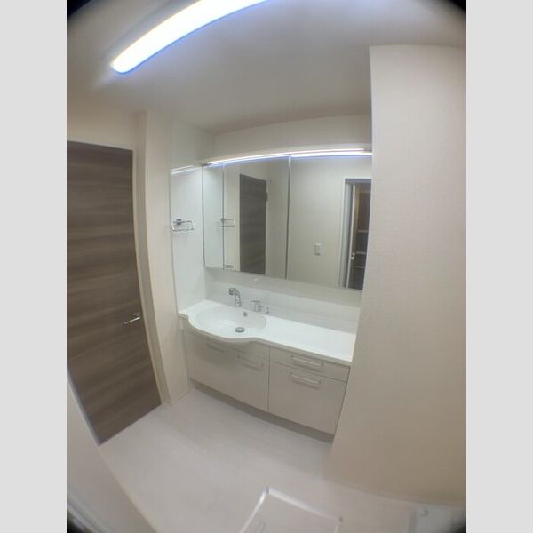 洗面所 (洗髪洗面化粧台)