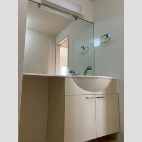 洗面所 (洗面台)