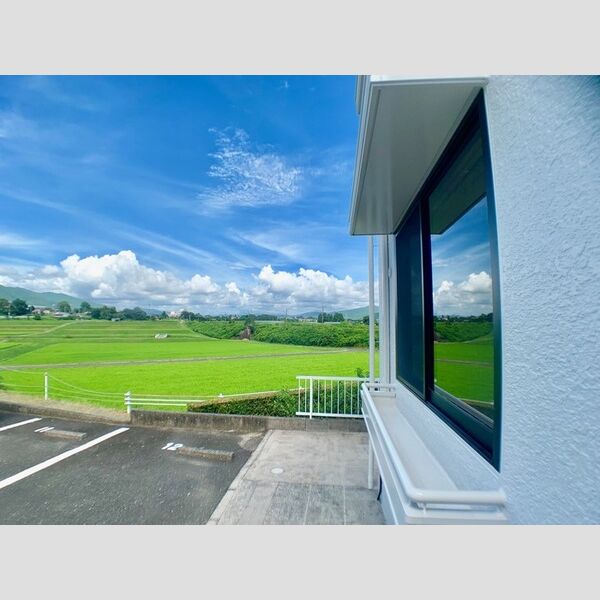 その他 (北洋室壁面　プランター置き場)