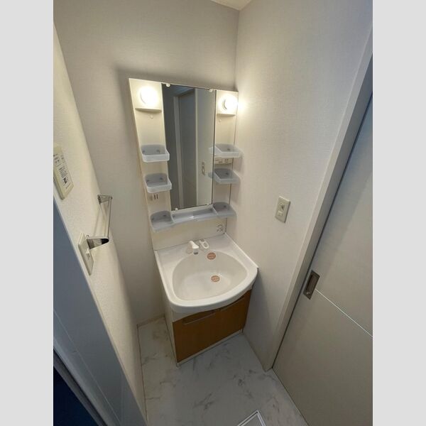 洗面所 (洗髪洗面化粧台)