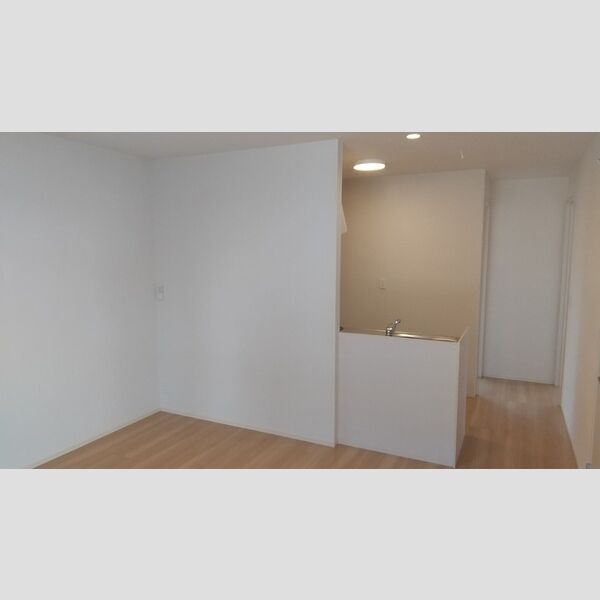 居室・リビング (カウンターキッチン)