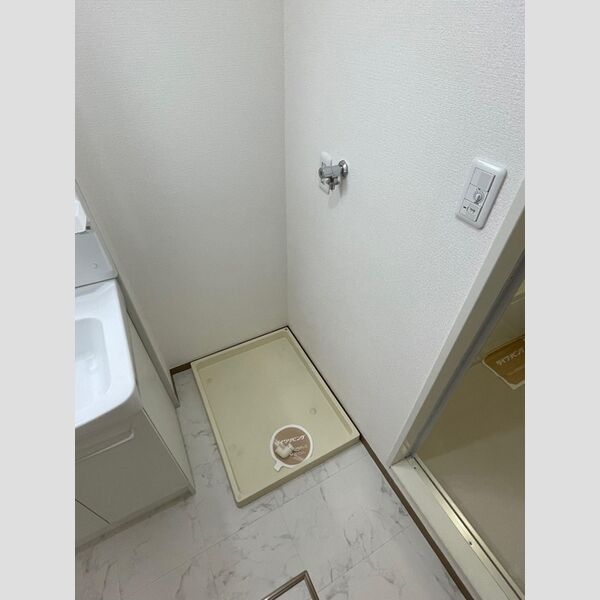 その他 (室内洗濯機置き場)