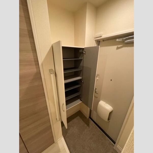 玄関 (シューズボックス)