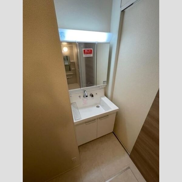 洗面所 (洗髪洗面化粧台)