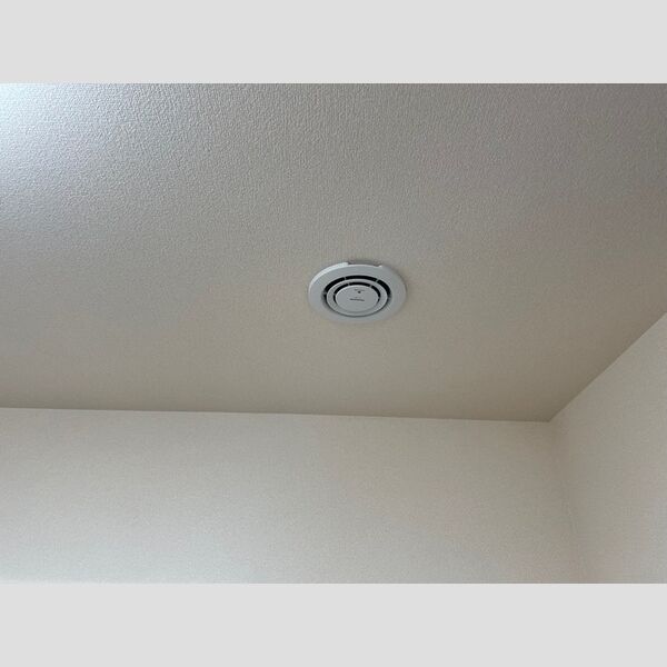 その他 (ナノイー)