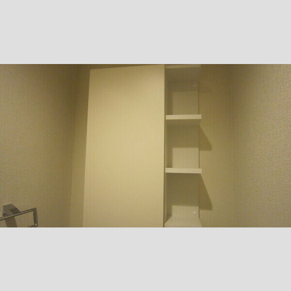 収納 (トイレ上収納)