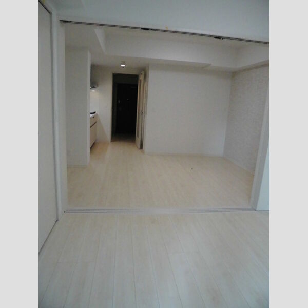 その他 (LDK・洋室)