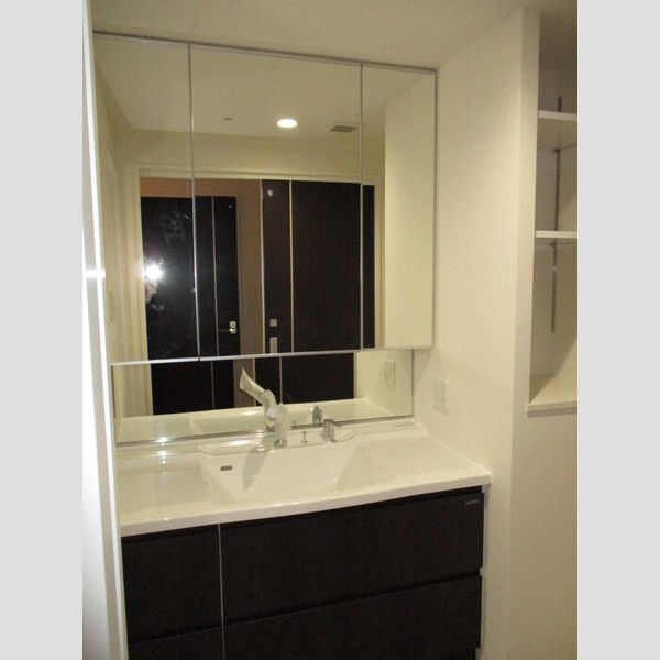 洗面所 (洗髪洗面化粧台)