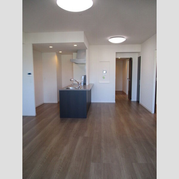 居室・リビング (LDK)