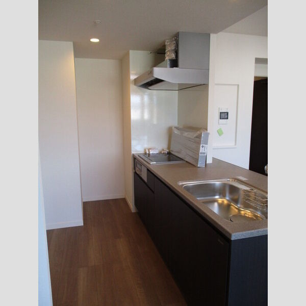 キッチン (対面キッチン　IHクッキングヒーター)