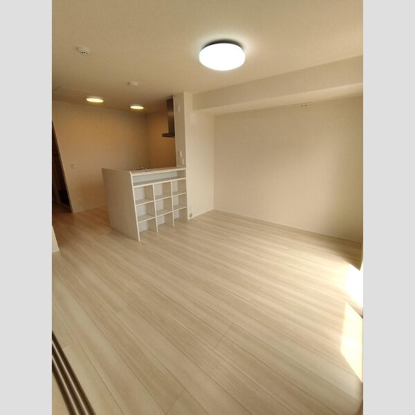 居室・リビング (LDK)