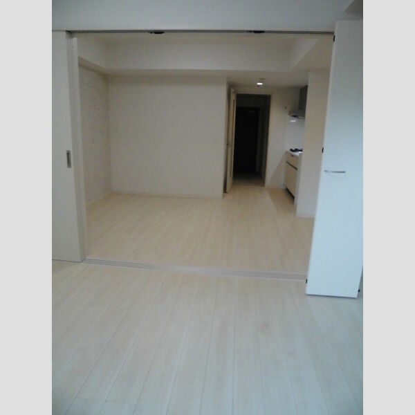 その他 (洋室・LDK)