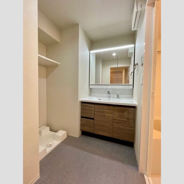 洗面所 (洗面所)