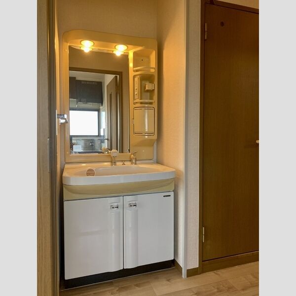 洗面所 (洗髪洗面化粧台)