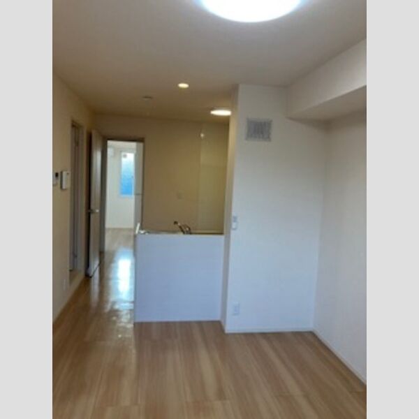 居室・リビング (カウンターキッチン)