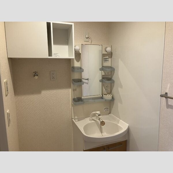 洗面所 (洗面所)