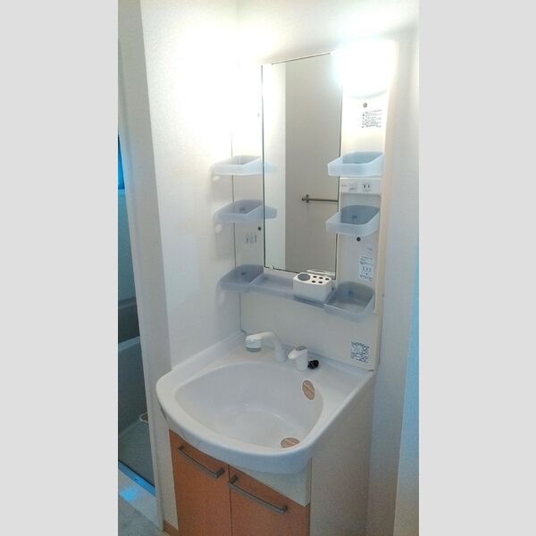 洗面所 (洗髪洗面化粧台)