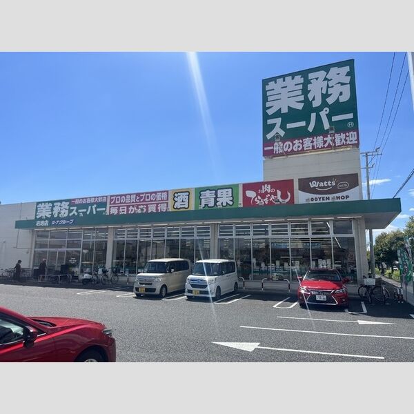 現地周辺 (業務スーパー岩地店(515m))
