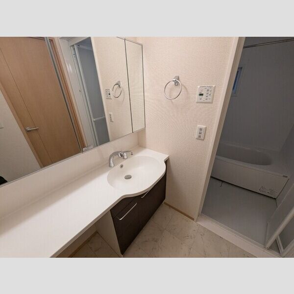 洗面所 (洗髪洗面化粧台)