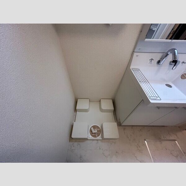 洗面所 (室内洗濯機置場)