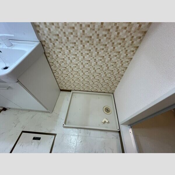 洗面所 (室内洗濯機置場)