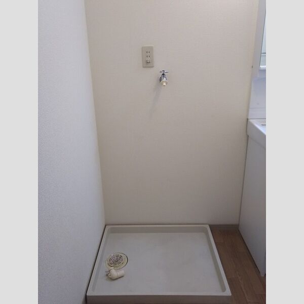 洗面所 (室内洗濯機置き場)