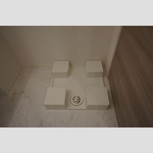 洗面所 (室内洗濯機置場)