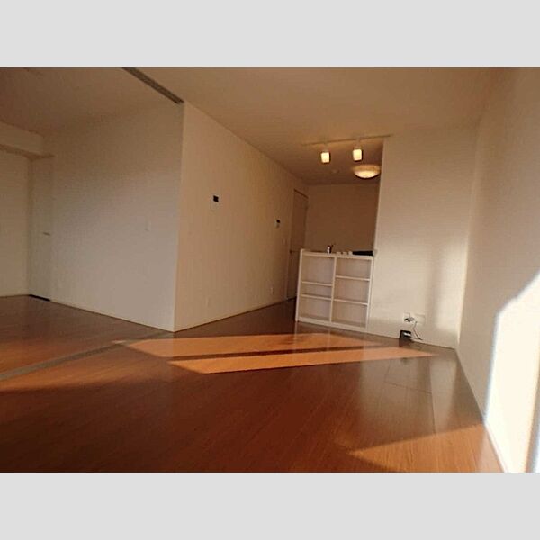 居室・リビング (LDK)