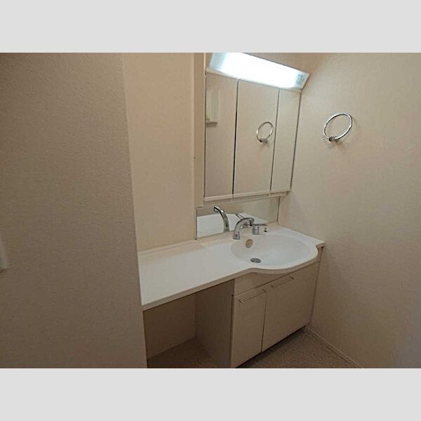 洗面所 (洗髪洗面化粧台)