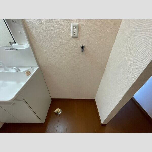 洗面所 (室内洗濯機置場)